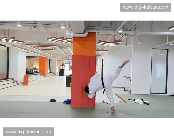 柔道数据资讯：把握每一个投技背后的秘密