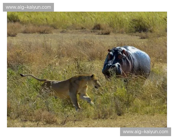 绿地王朝vs克利夫兰新贵:东部巅峰之战,谁能主宰北岸花园的深夜? 绿地王朝vs克利夫兰新贵:东部巅峰之战,谁能主宰北岸花园的深夜?